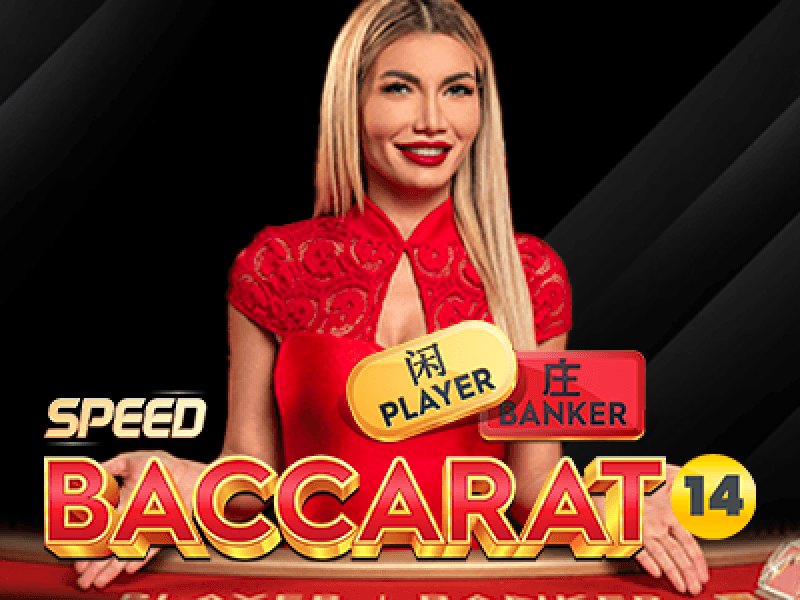 Speed Baccarat 14