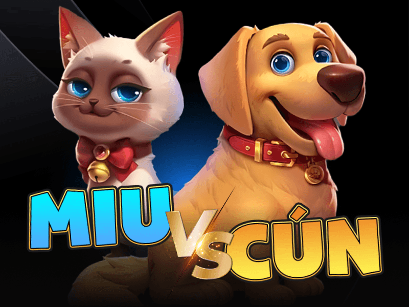 Miu VS Cún