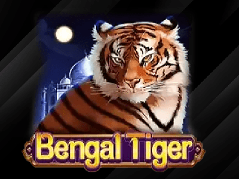 Bengal Tiger