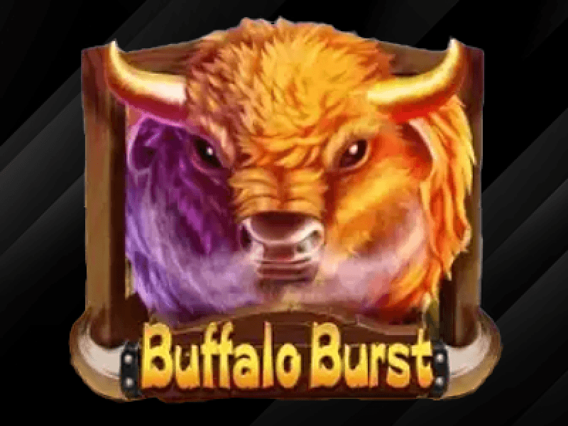 Buffalo Burst